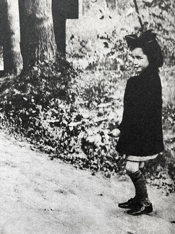 Block Bestiary No.29: The European Bear