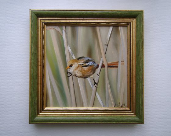 Bird Between the Reeds