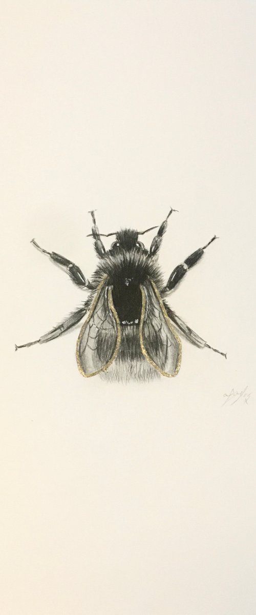 Bumblebee with gold wings by Amelia Taylor