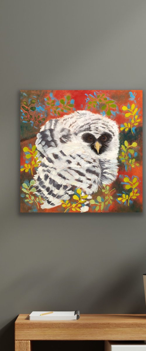 Barred Owl by Rebeca Fuchs