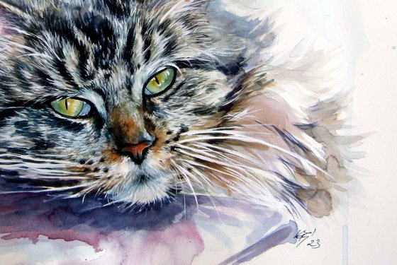 Resting cat at home