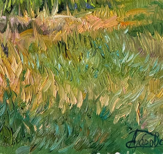 Where the Irises Bloom