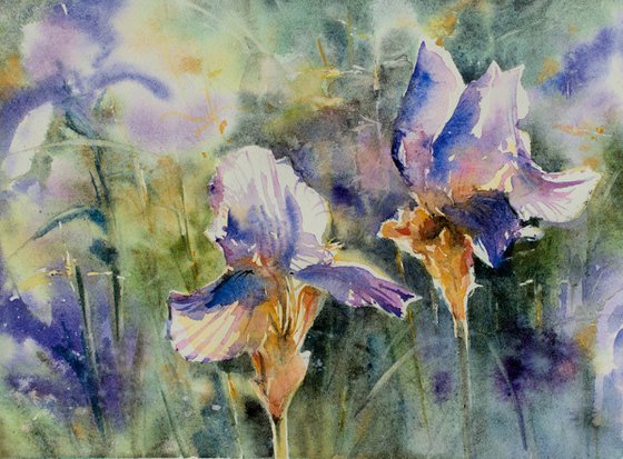 Irises