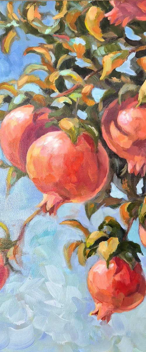 Pomegranates by Tatiana Kyriakidou