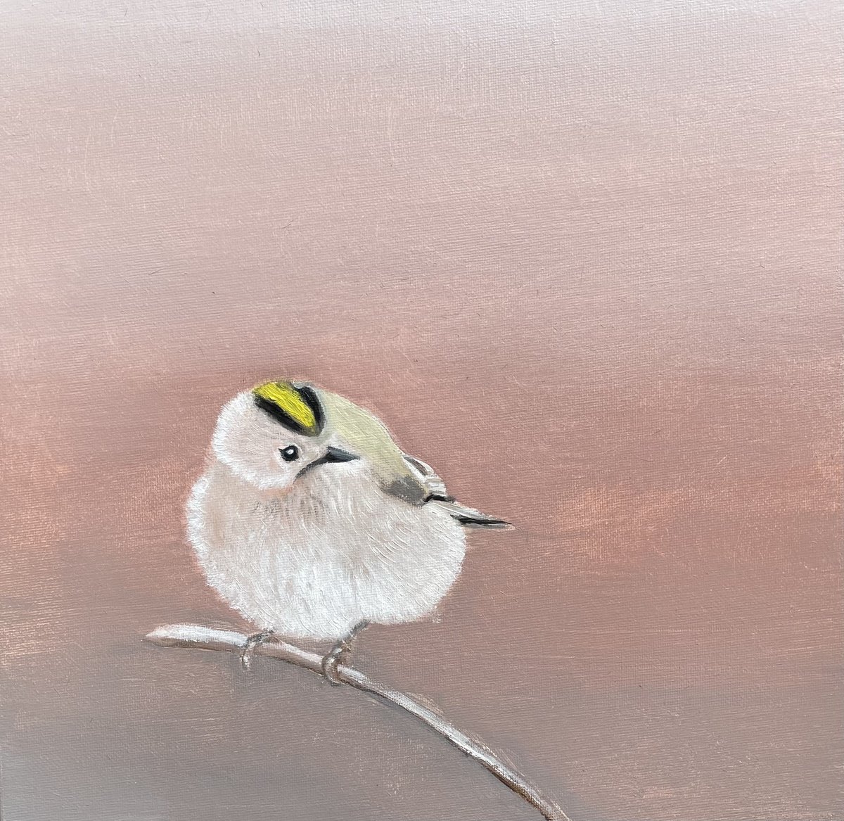 Impressionistic Animal Oil Painting By Laure Bury, 12 X 12", Goldcrest, Original Artwork