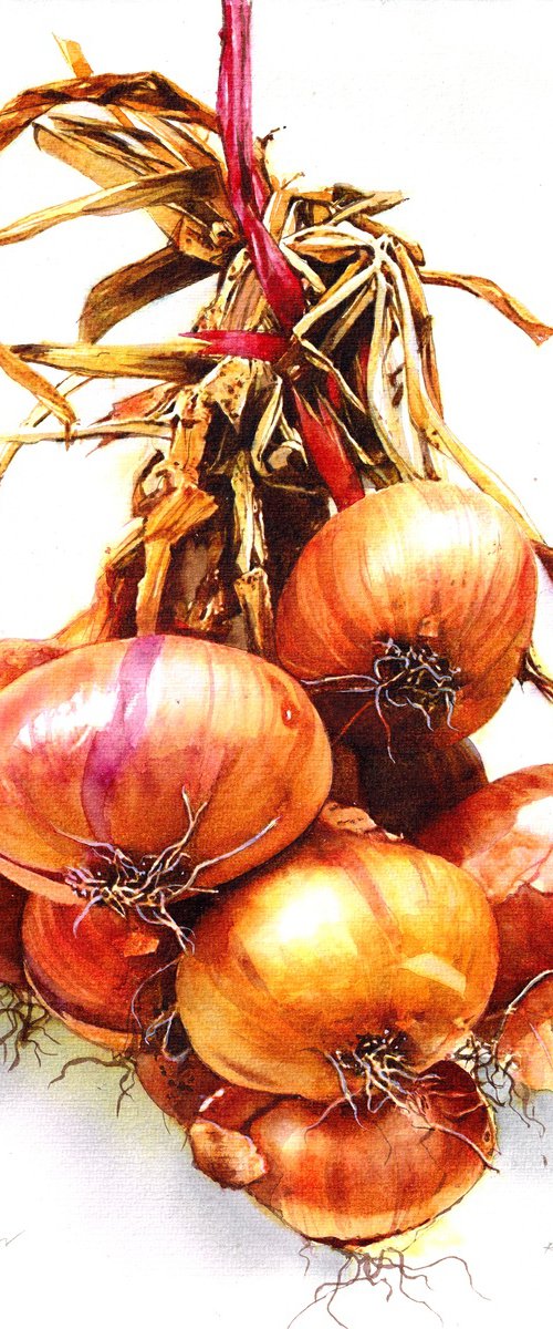 Onion by REME Jr.