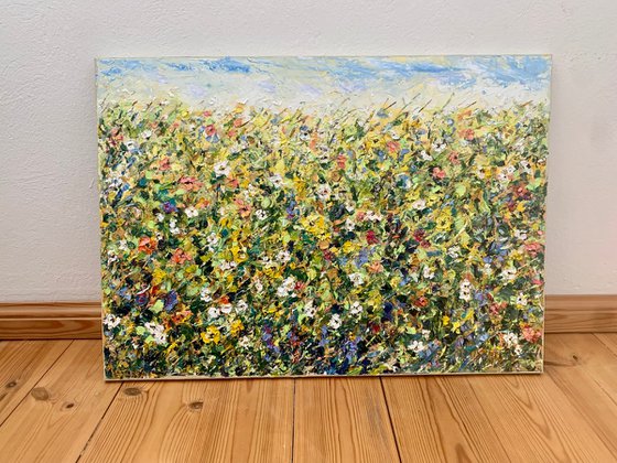 Blooming field in summer