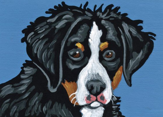 ACEO ATC Original Miniature Painting Bernese Mountain Puppy Pet Dog Art-Carla Smale