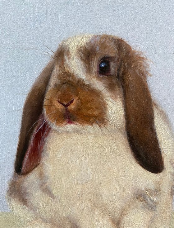 Stella. Original oil painting. Animal portrait. Bunny artwork. Easter