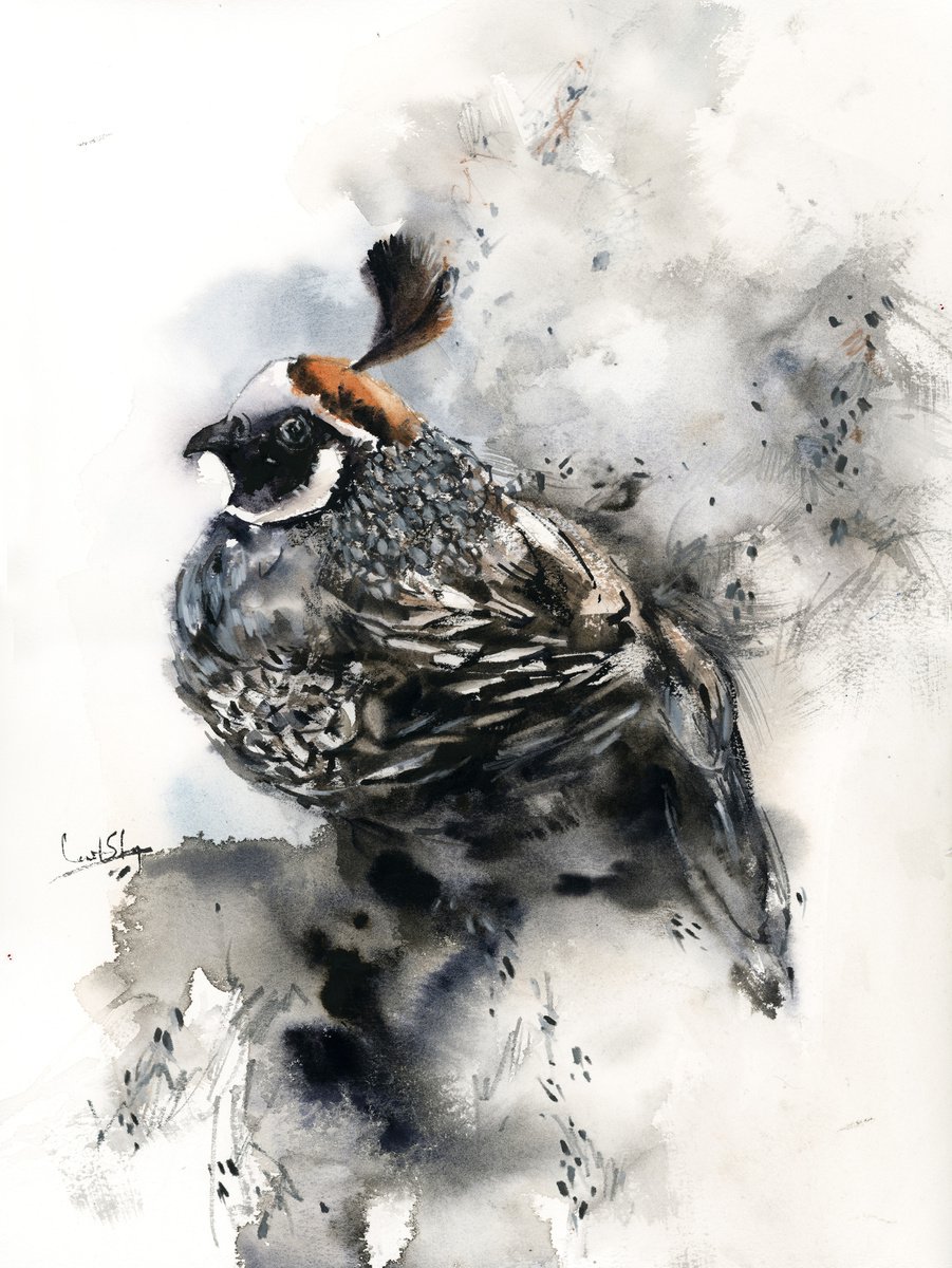 The Pheasant by Sophie Rodionov