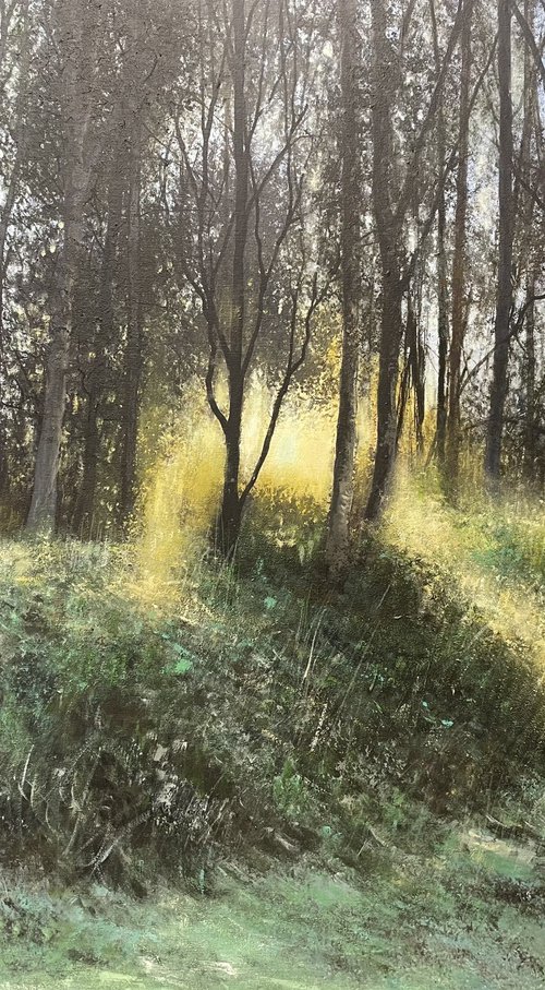 'Catch The Light' by Jo Starkey