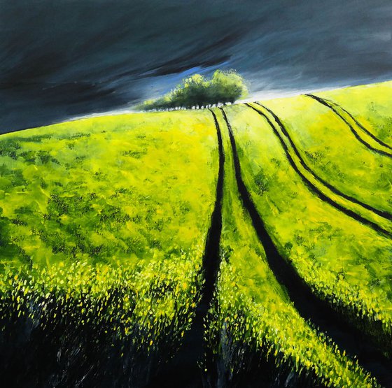 Canola  Fields and the storm - Fields and Colors Series