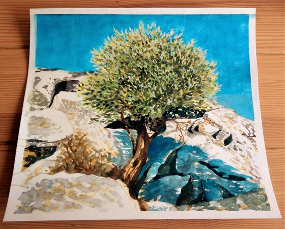 OLIVE TREE II