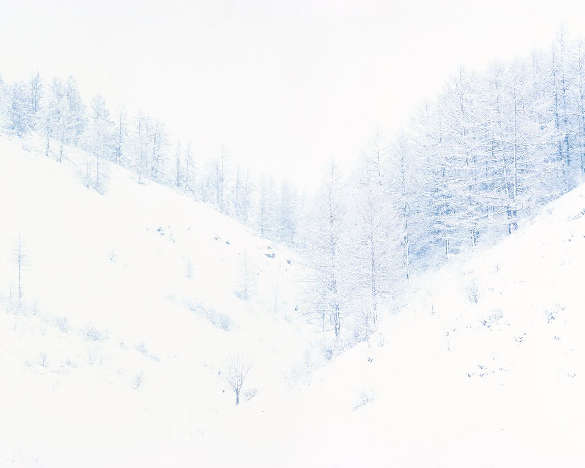 Winter sleep by Dmitriy Gnatko