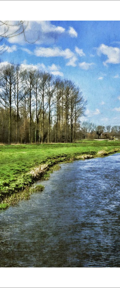 River and Trees by Martin  Fry