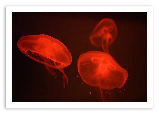 At the aquarium #4