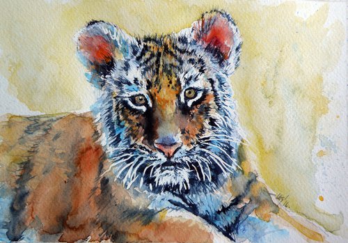 Tiger cub by Kovács Anna Brigitta