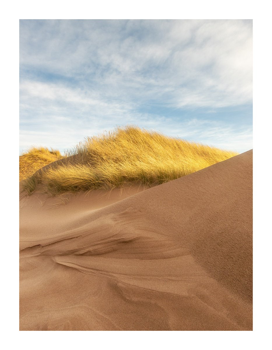 Late Dunes by David Baker