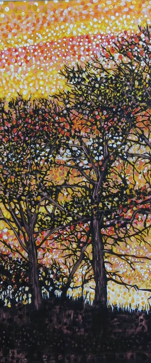 Sunset 2 by Roz Edwards
