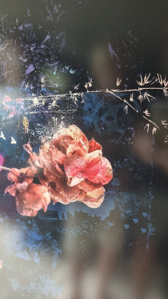 Bouquet xv  [Studio Clearance]