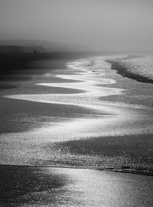 VENICE TIDE by Harv Greenberg