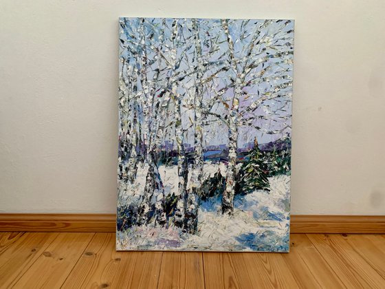 Birch trees in winter