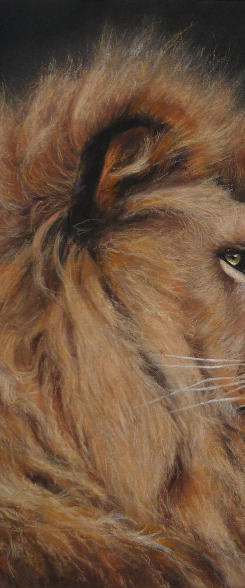 Lion. Original Pastel Portrait by Elena Bondarenko
