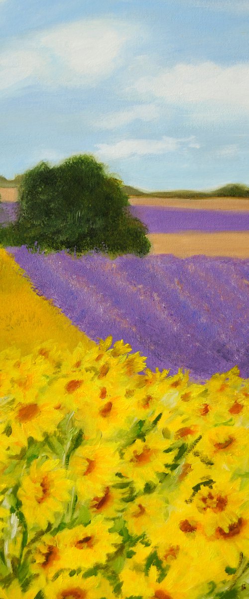 Fields by Simona Tsvetkova