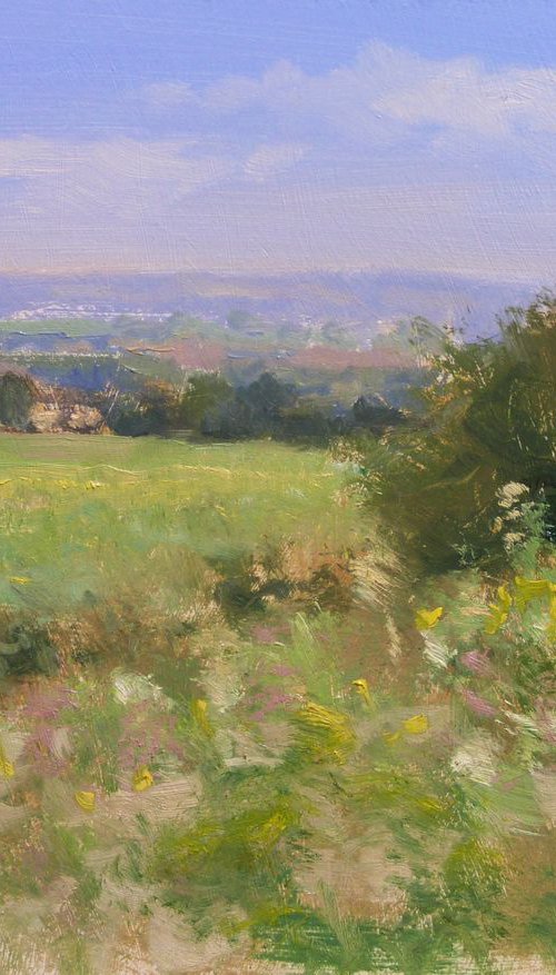 Meadow in Provence by Pascal Giroud