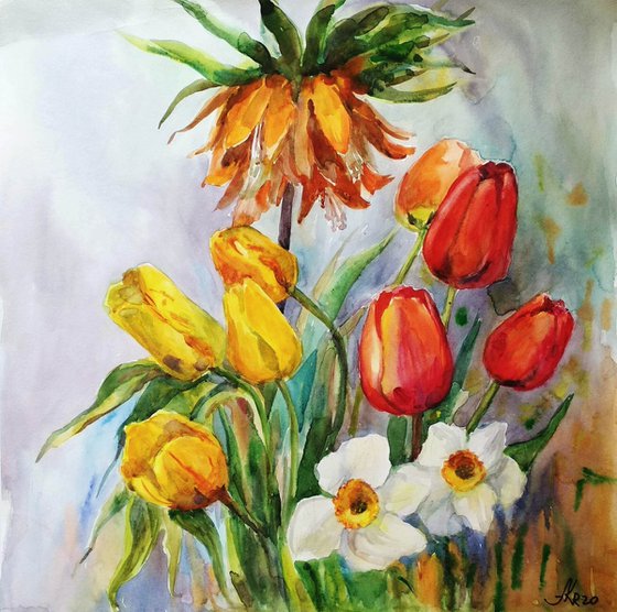 Spring Tulips