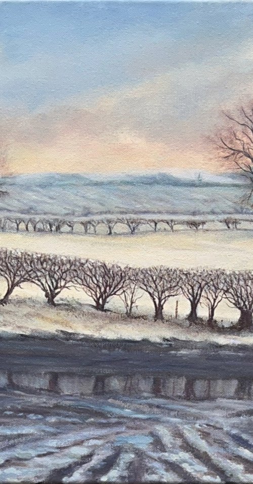 Snow near Powburn by Ashley Baldwin-Smith