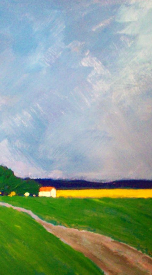 Incoming Rain, Canola fields by David J Edwards