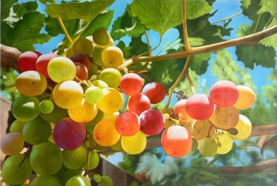 Photorealism oil painting:grape with leaves