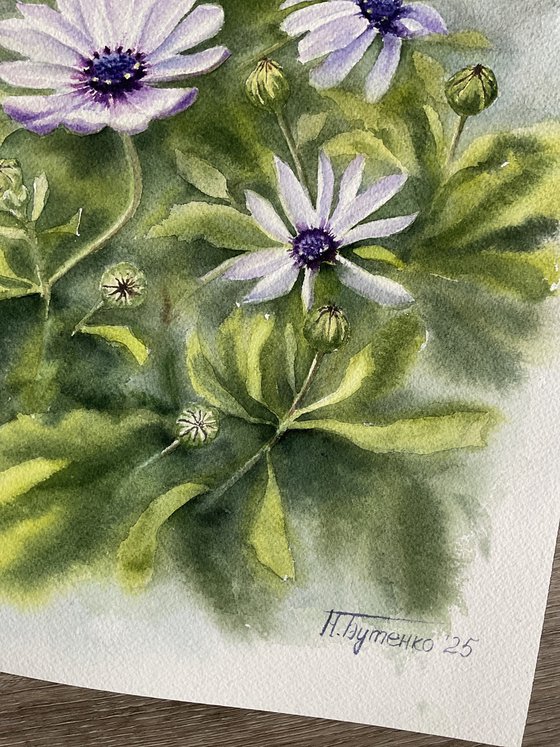 Blue eyes, white flowers, original