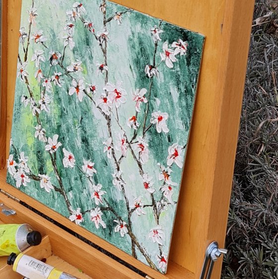 Cherries in bloom 1