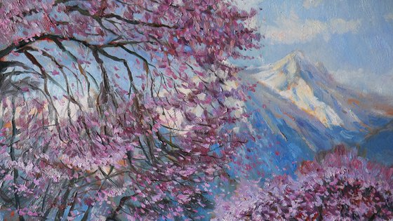Almond Trees in Bloom
