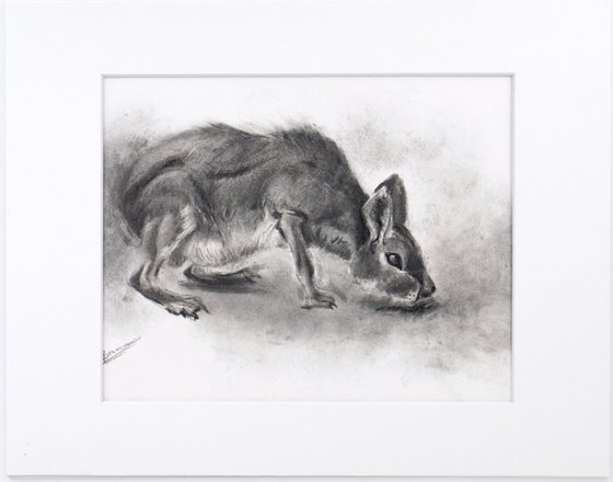 Mara