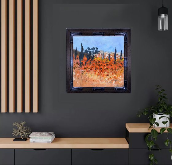 Red poppies  in Provence   6624