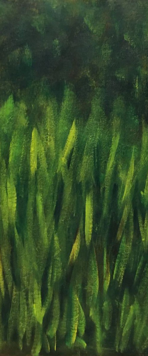 Grass in the green by Paola Consonni