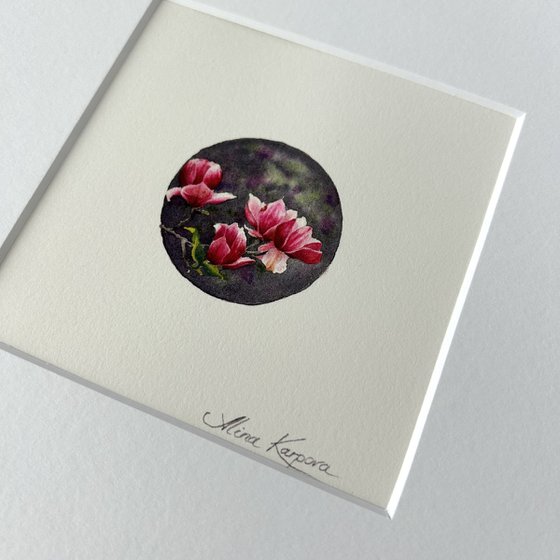 Magnolia miniature