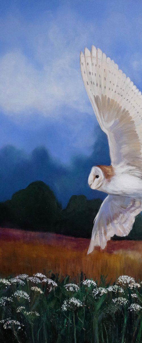 In the Company of Silence (Barn owl hunting) by Dawn Rodger