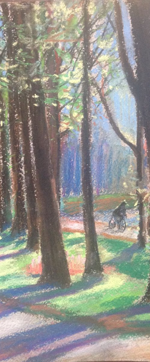 May evening in the old park by Oxana Raduga