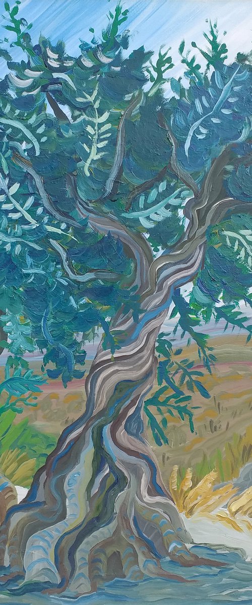 Olive trees in Alhaurin el Grande SOLD by Kirsty Wain