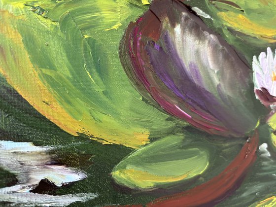 Serenity of Water Lilies