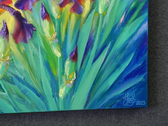 "Iris"