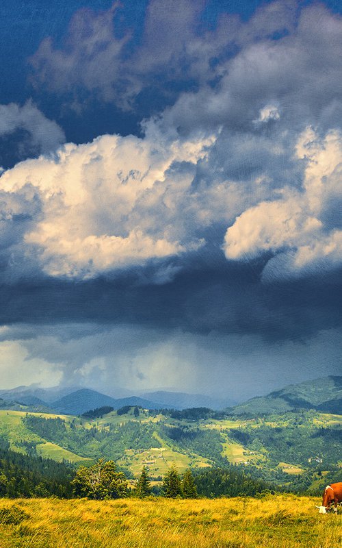 Summer on a mountain pasture. by Valerix