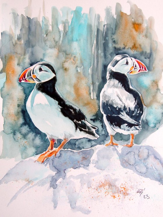 Puffins