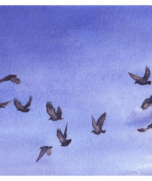 Flock of Pigeons by Shweta  Mahajan