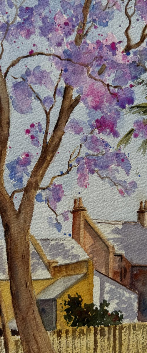 Jacaranda and yellow houses by Shelly Du