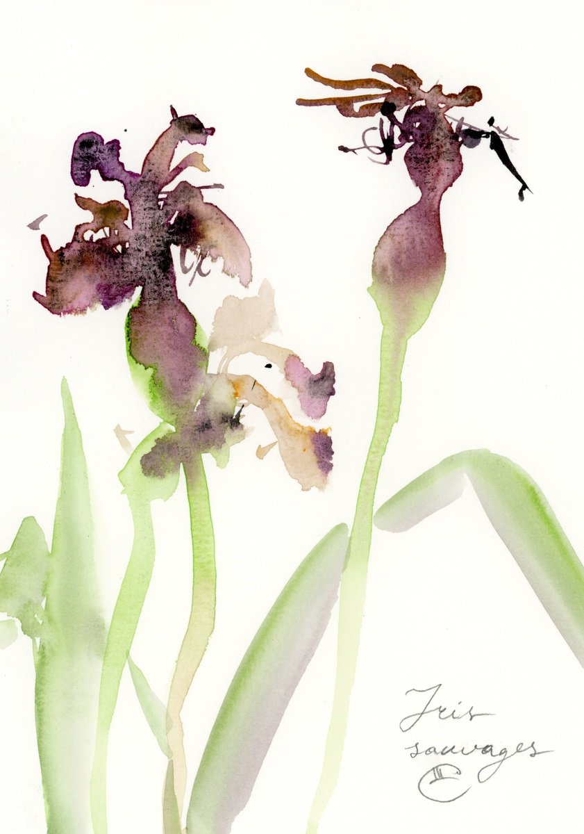 Wild iris. #2 by Tatyana Tokareva